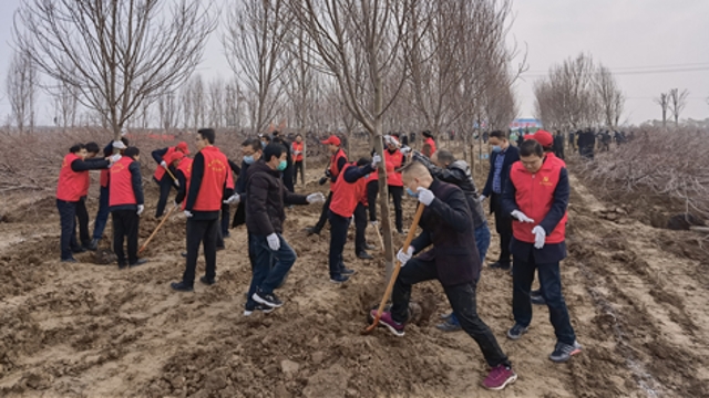 栽下樹苗，留下新綠