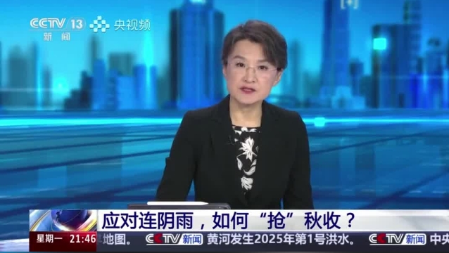 【主流媒體看周口】面對連陰雨 如何“搶”秋收？